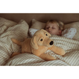 by Astrup Gravitational Dog, 2.2 kg.