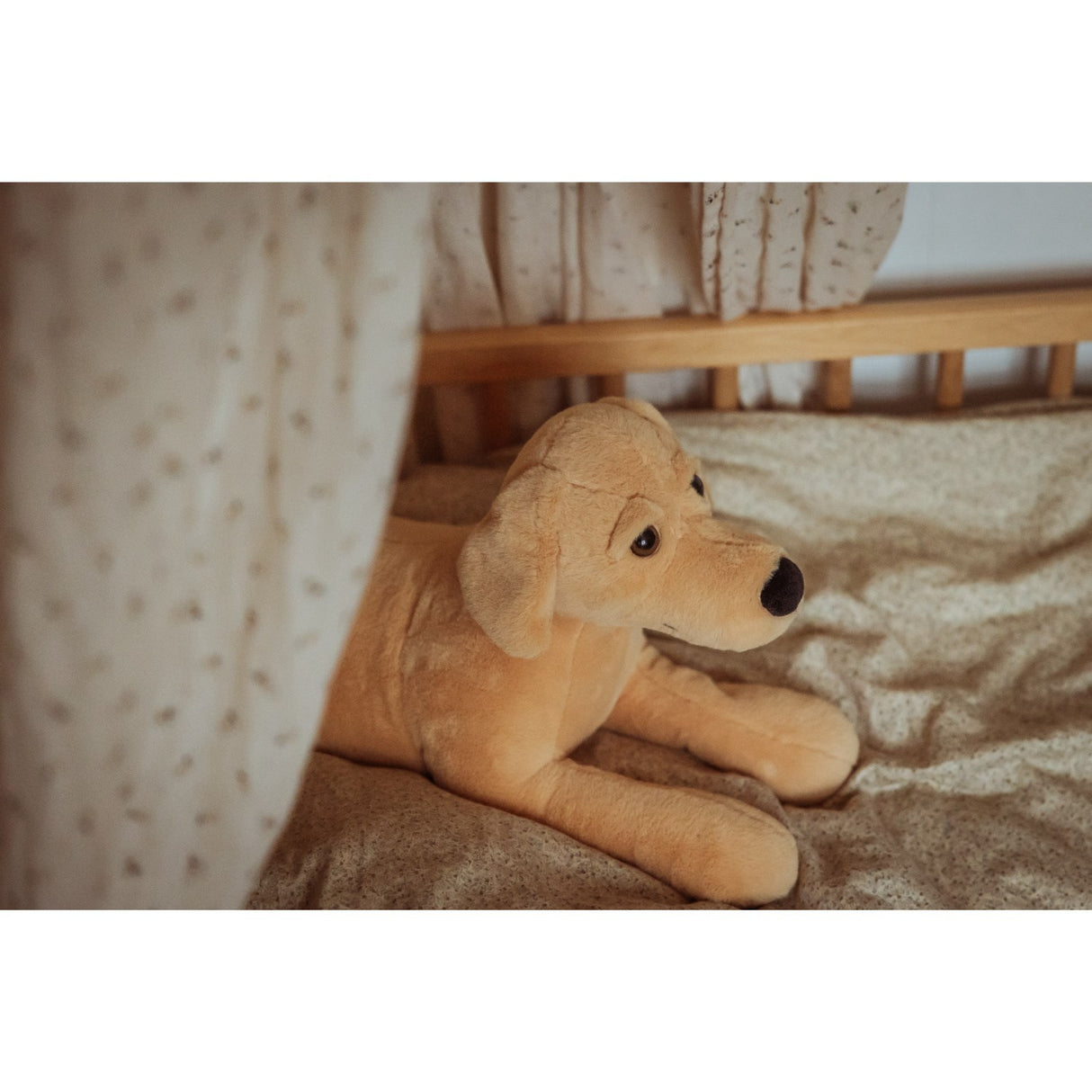 by Astrup Gravitational Dog, 2.2 kg.
