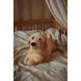 by Astrup Gravitational Dog, 2.2 kg.