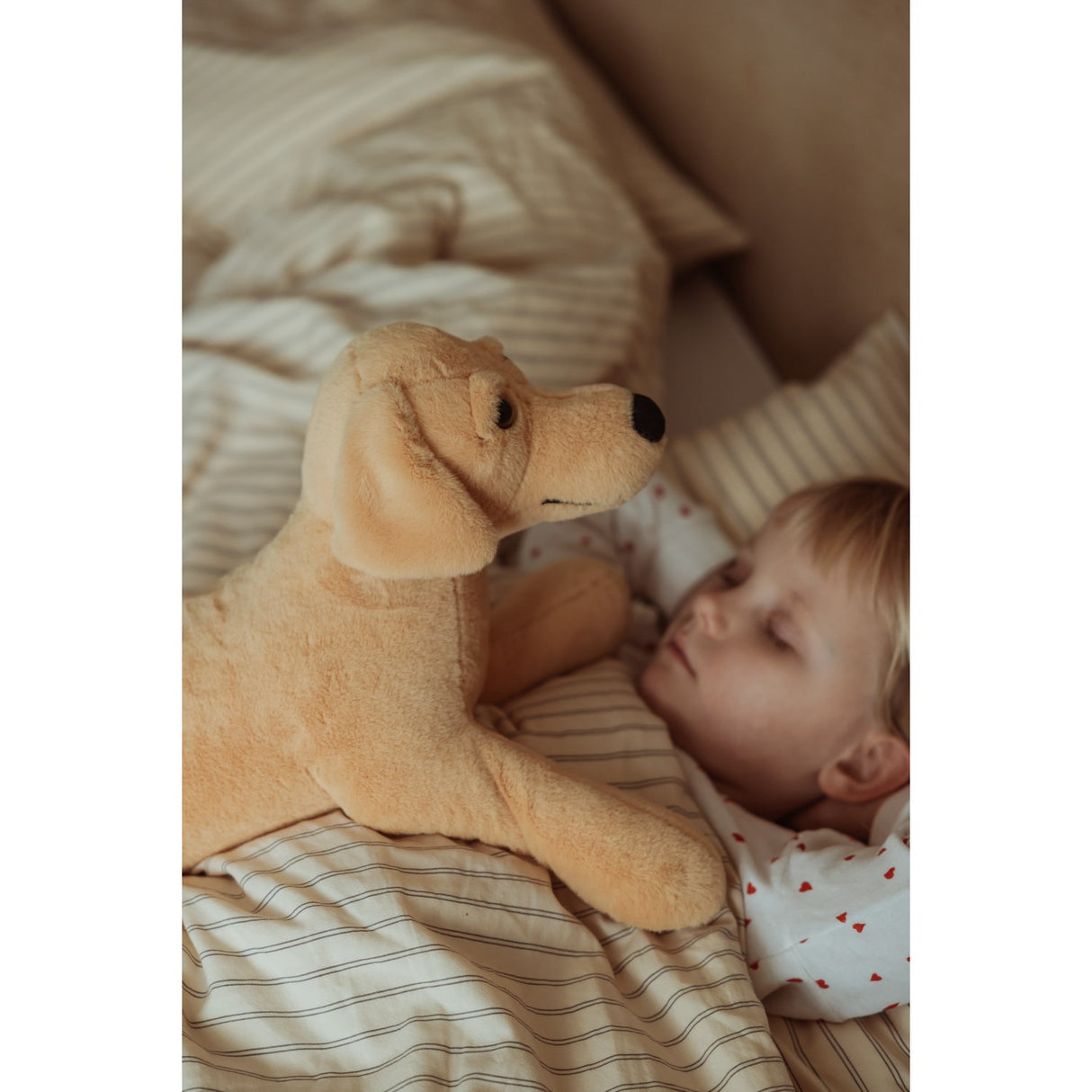 by Astrup Gravitational Dog, 2.2 kg.