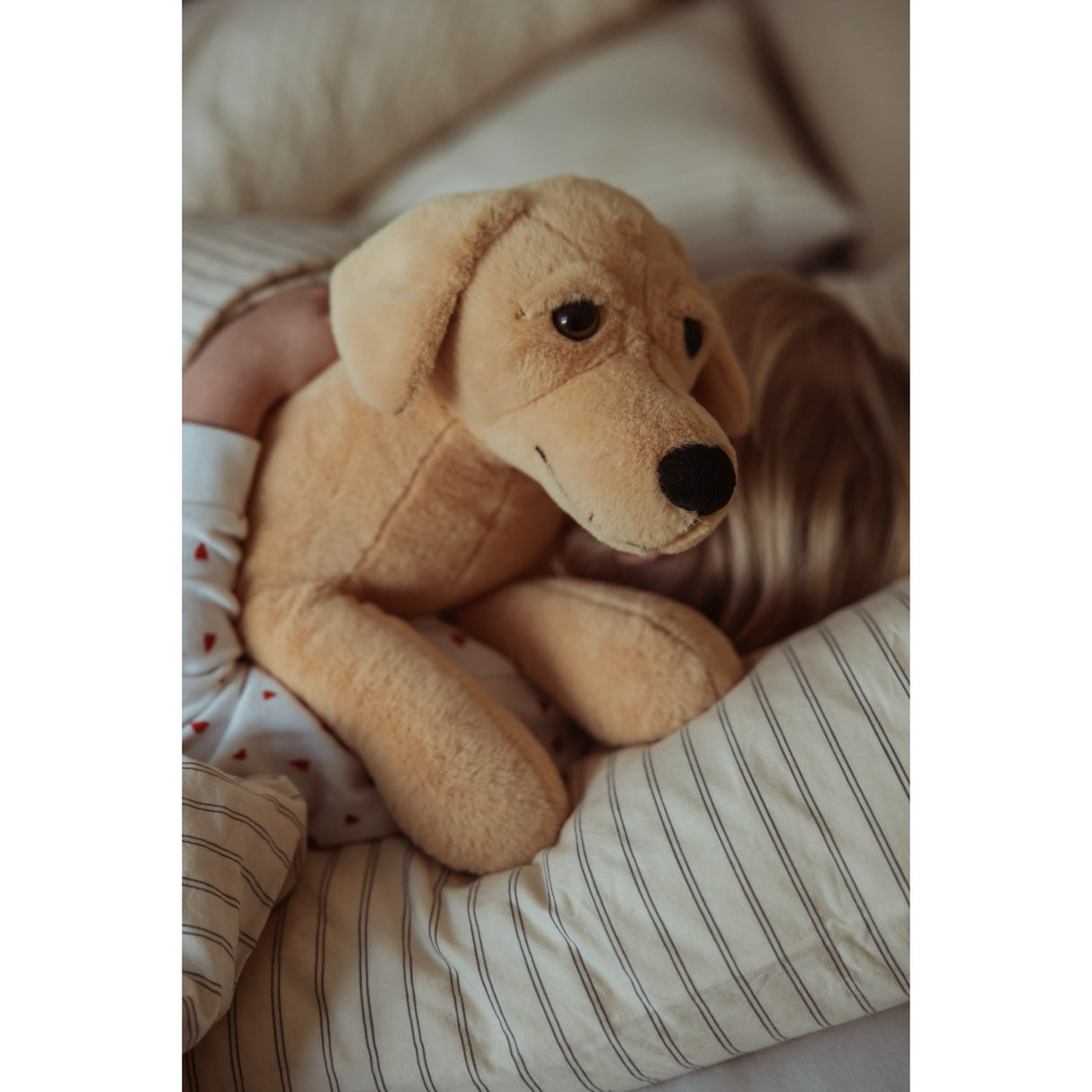 by Astrup Gravitational Dog, 2.2 kg.