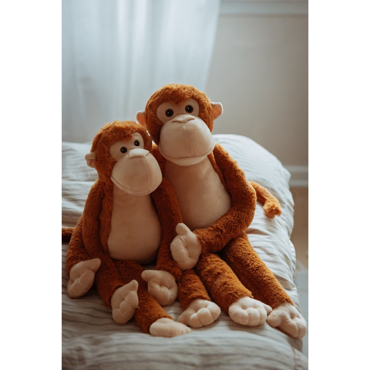 by Astrup Gravity, monkey, 1.8 kg.