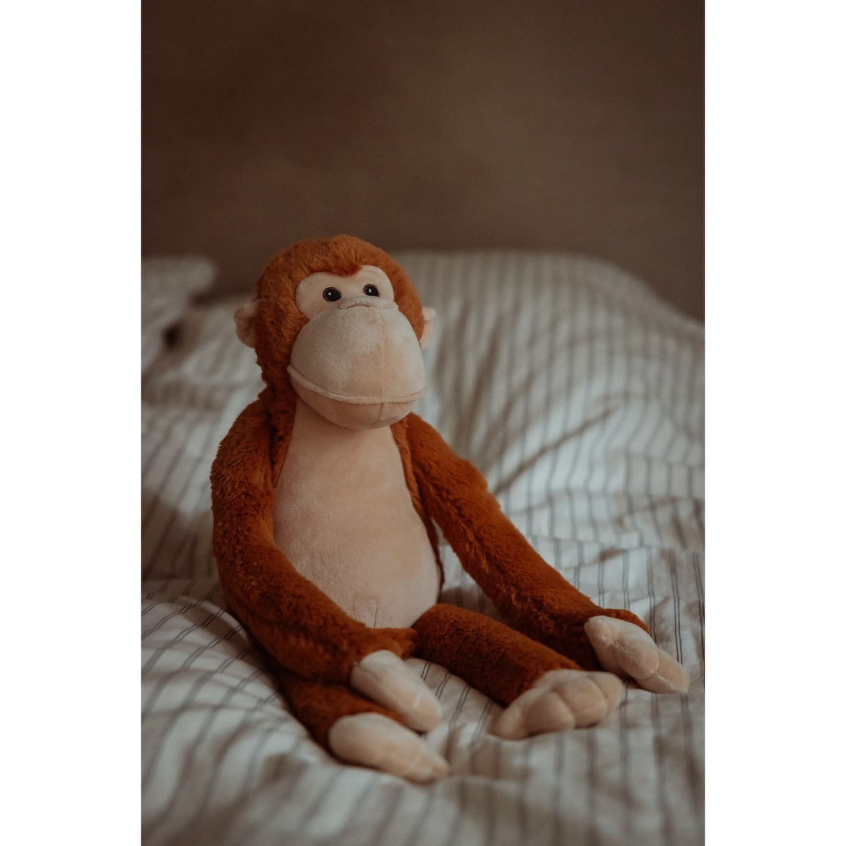 by Astrup Gravity, monkey, 1.8 kg.