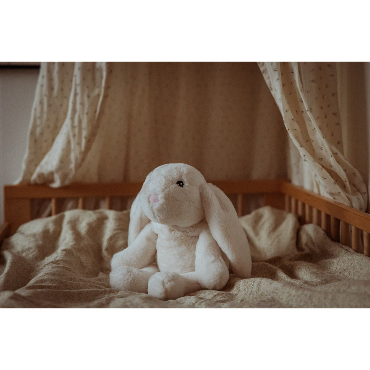 by Astrup Gravitational Animal, Rabbit, 1.2 kg.