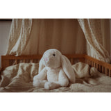 by Astrup Gravitational Animal, Rabbit, 1.2 kg.