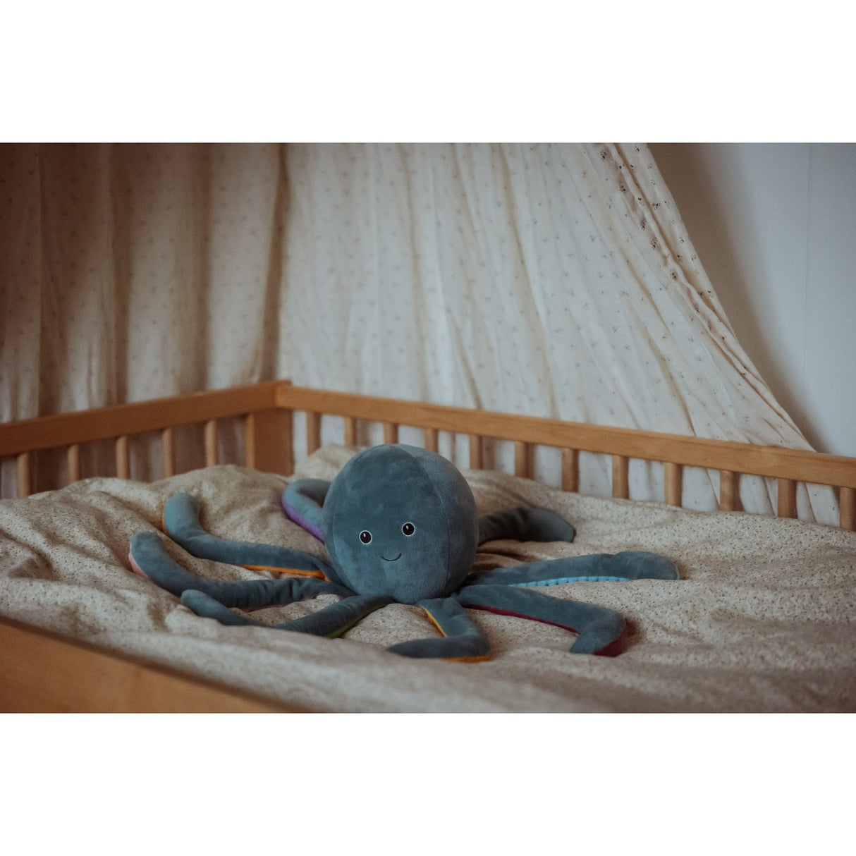 by Astrup Gravity, Octopus, 1.2 kg
