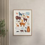 Poster & Frame Citatplakat - Europas Dyr – Børneplakat