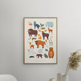 Poster & Frame Citatplakat - Europas Dyr – Børneplakat