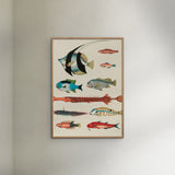Poster & Frame Louis Renard - Colorful Fishes Lll