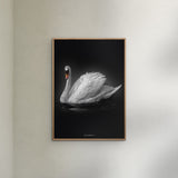 Poster & Frame Story Of Andersen - Den Grimme Ælling - Hvid/Sort Baggrund