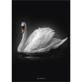 Poster & Frame Story Of Andersen - Den Grimme Ælling - Hvid/Sort Baggrund