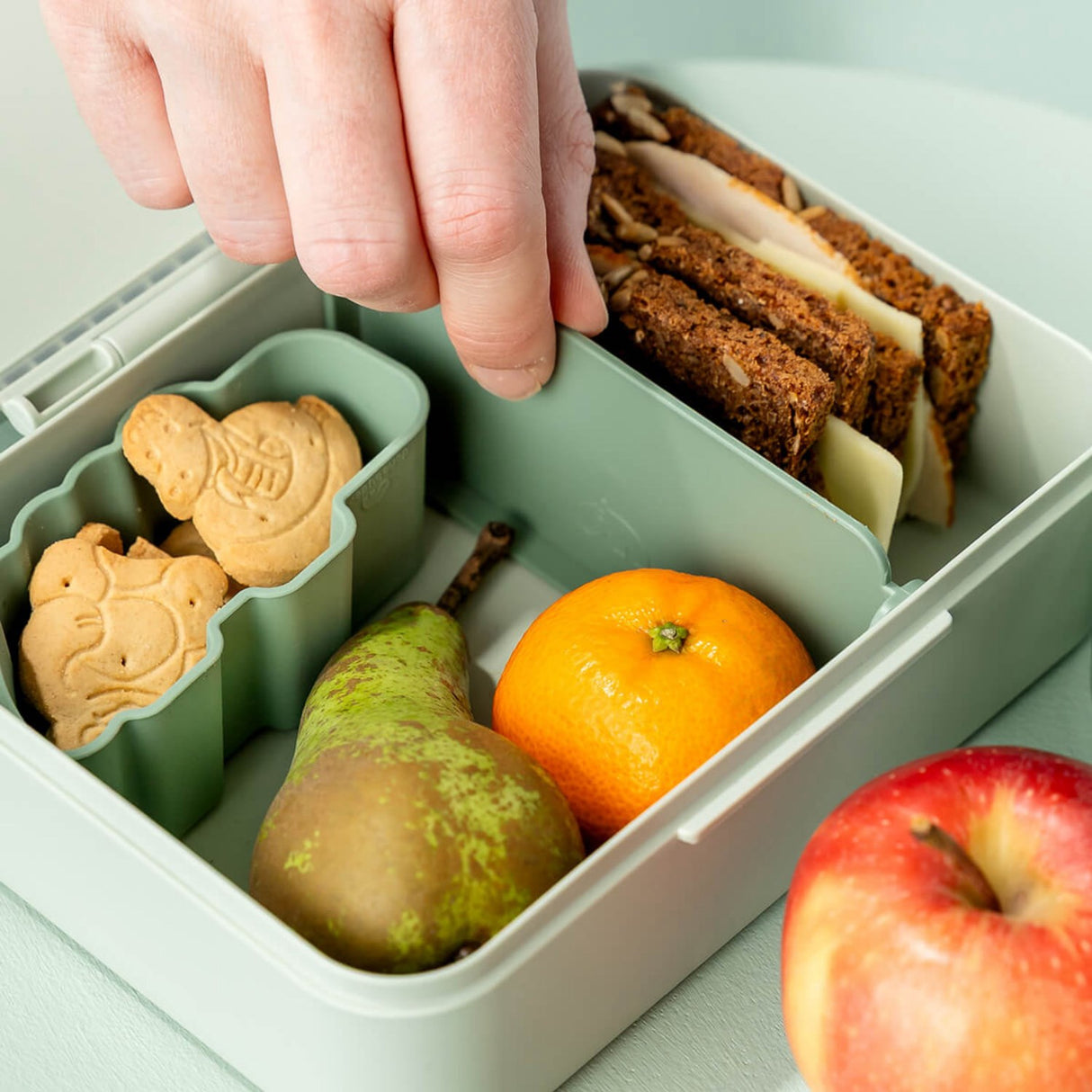 DonebyDeer Green Lunch Box With Divider Playground
