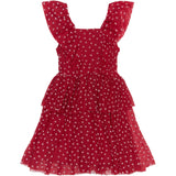 The New Ski Patrol AOP Johanna S_L Dress