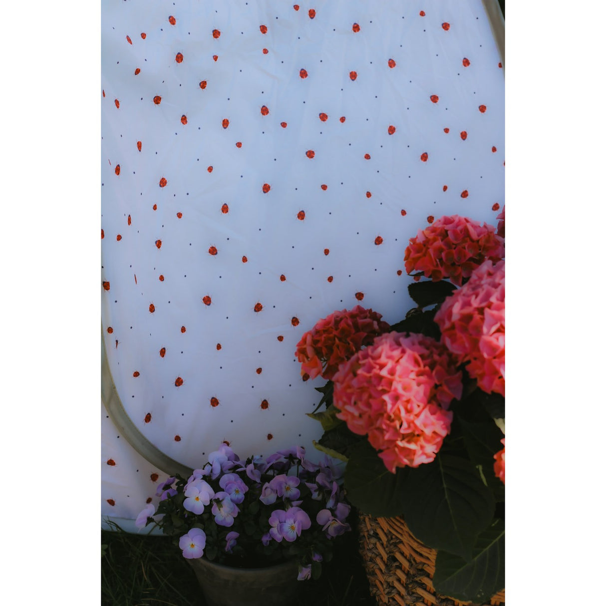 Vanilla COPENHAGEN English Rose - Lady Lovebug Pop-Up Tent Classic - UV50+