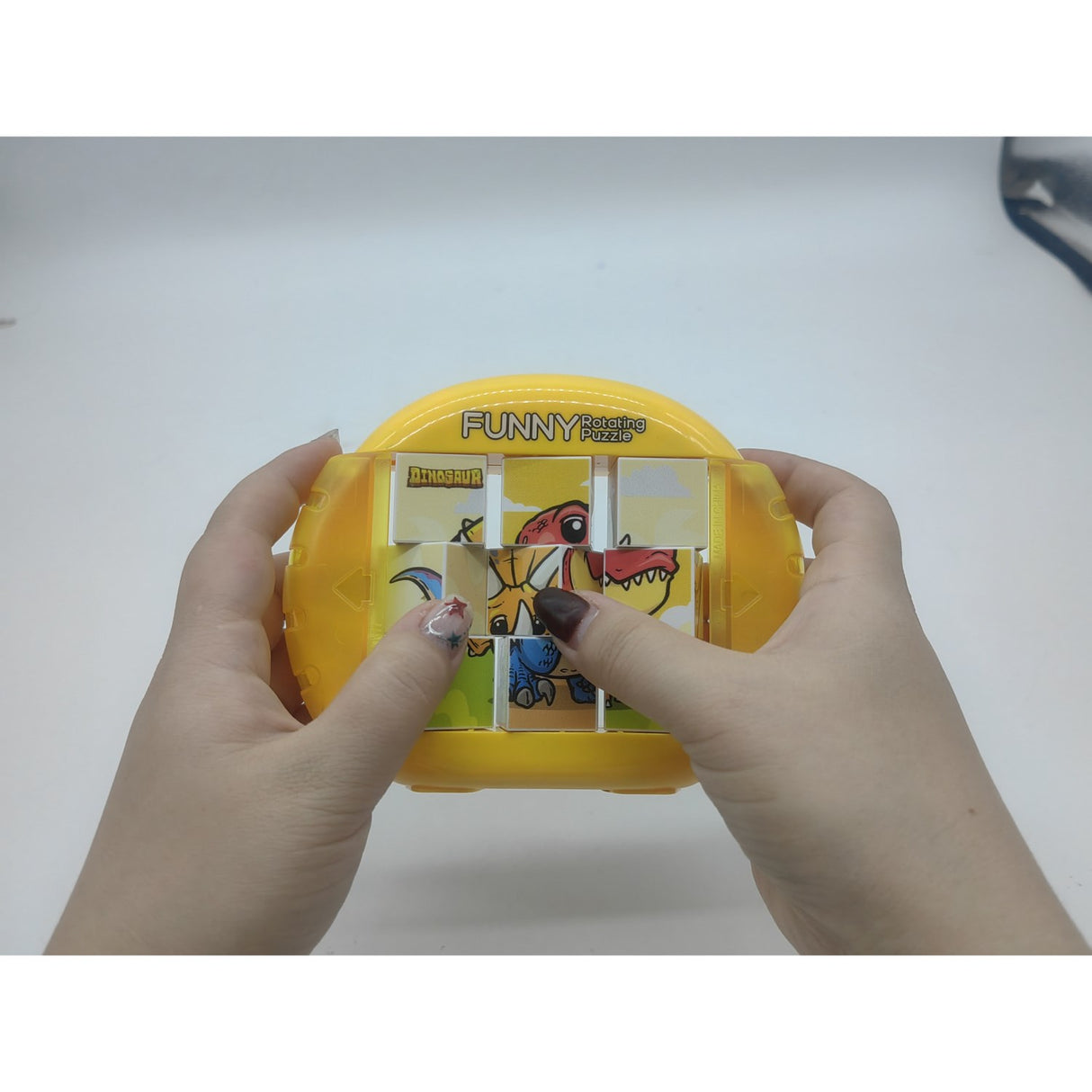 Pocket Money Dinosaur Rotating Puzzle