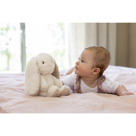 Teddykompaniet Creme Teddy Mocca - Kanin, 25 Cm