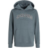 Jack & Jones Junior Stormy Weather Jjecaleb Varsity Sweat Hood Noos Jnr