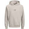 Jack & Jones Junior Moonbeam Jjesoho Sweat Hood Noos Jnr