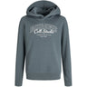 Jack & Jones Junior Stormy Weather Big Print Jjmakoto Sweat Hood Jnr
