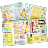 Tactic Games Lær Om Din Fantastiske Krop