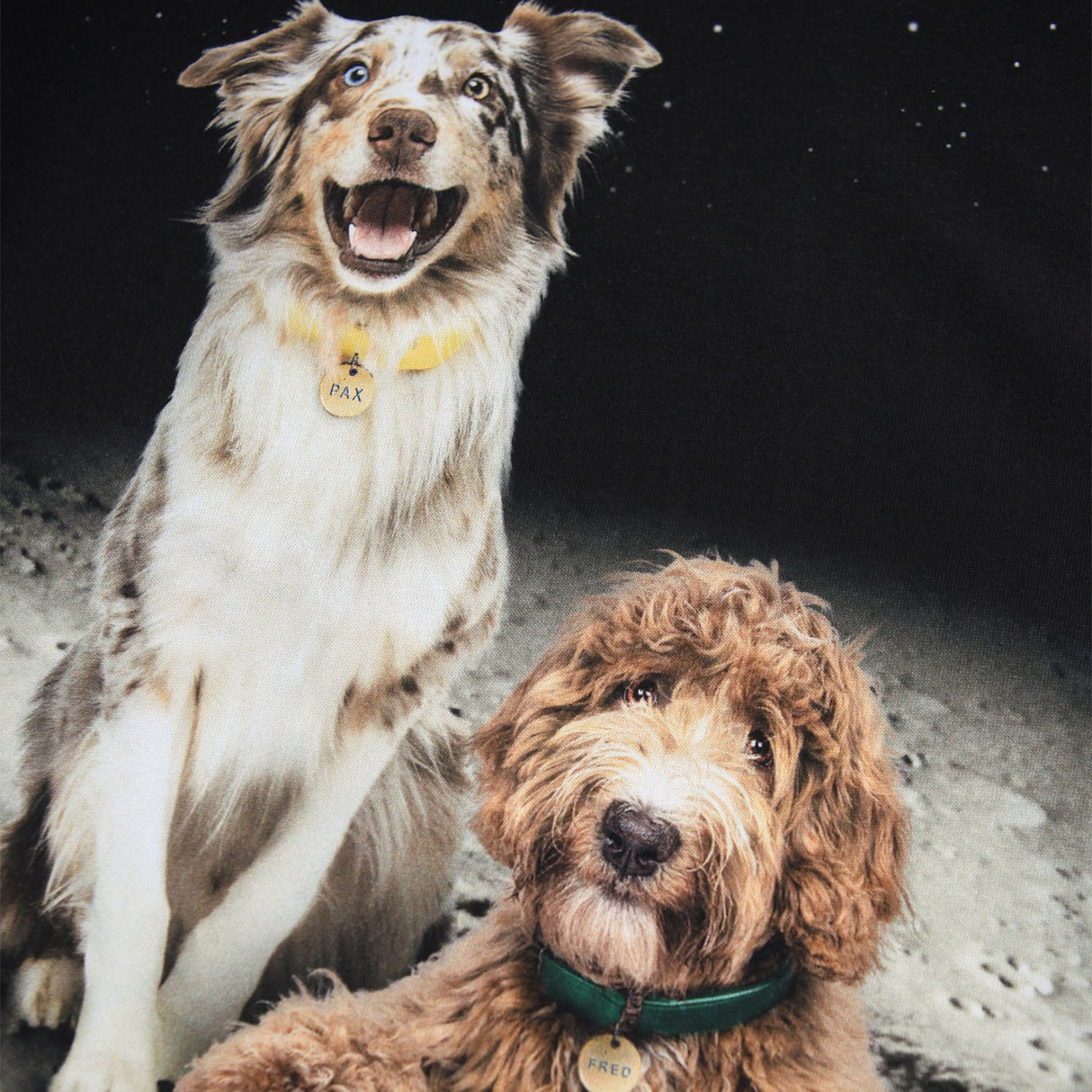 Molo Moon Friends Reif Blouse