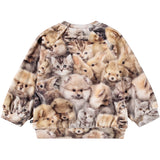 Molo Fuzzy Fluffy Disc Sweatshirt