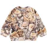 Molo Fuzzy Fluffy Disc Sweatshirt