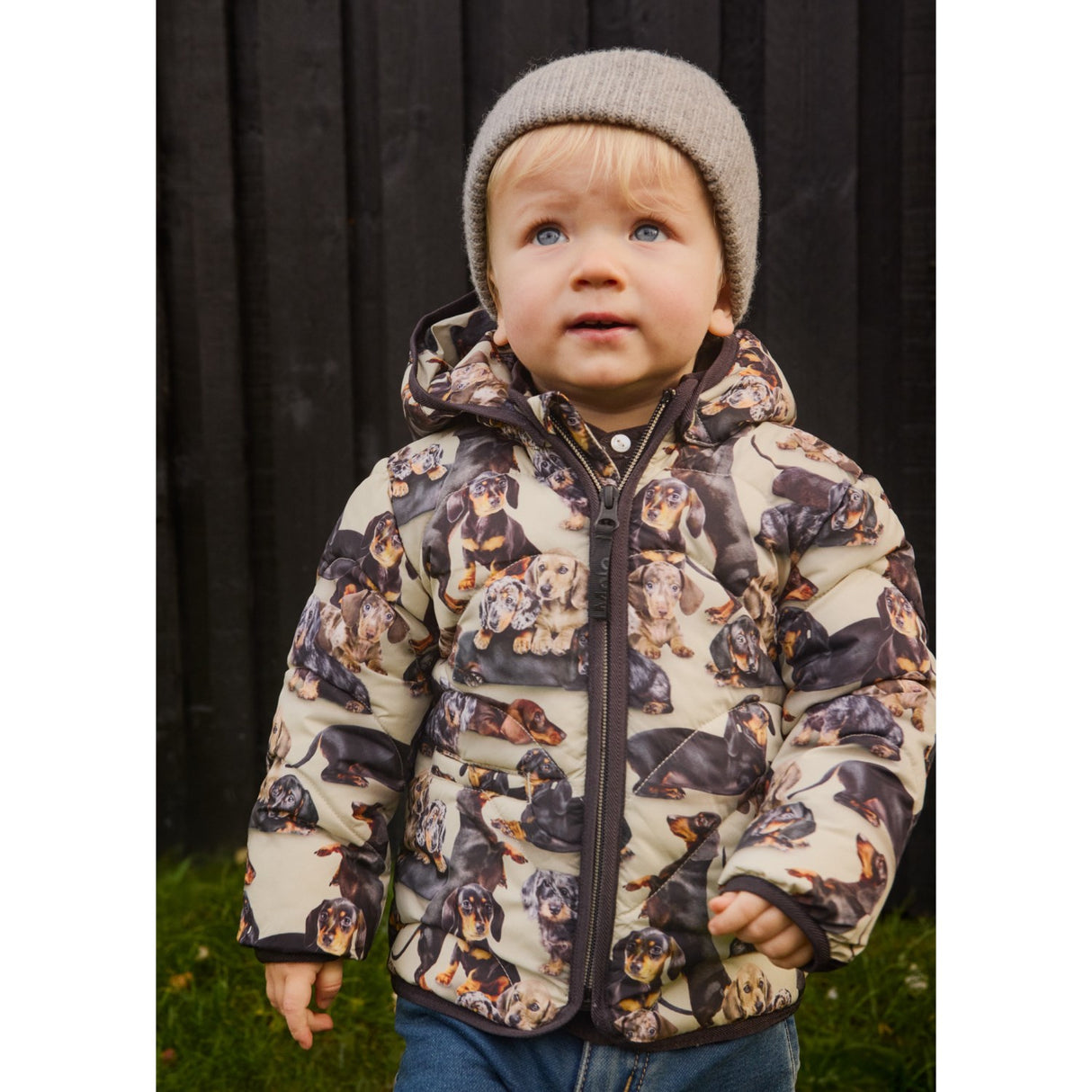 Molo Dashshund Soft Harmony Jacket