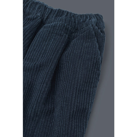 LIEWOOD Classic Navy Borris Corduroy Pants