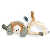 Sebra Turbo The Turtle Activity Book