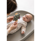 Sebra Turbo The Turtle Activity Rattle With Mirror
