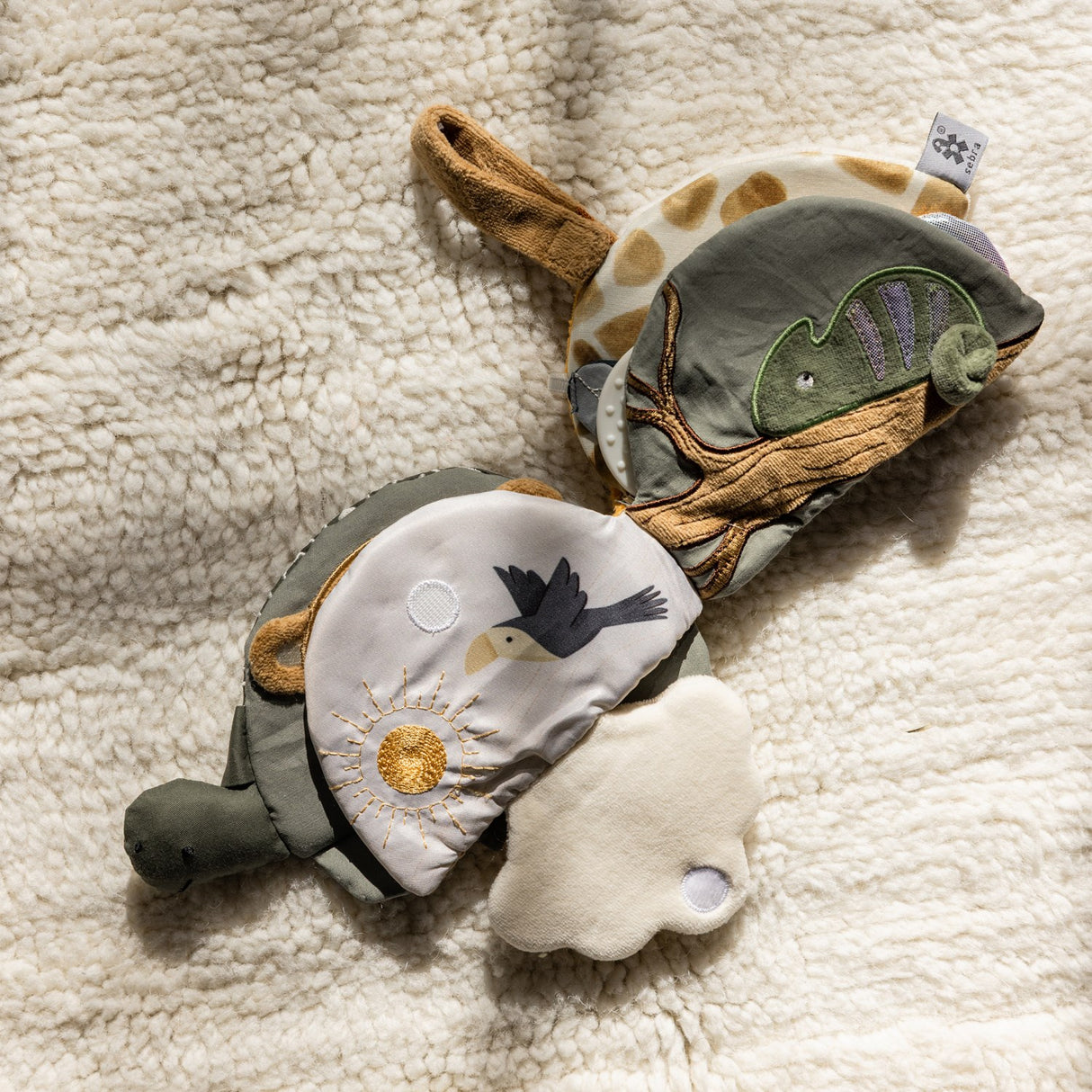 Sebra Turbo The Turtle Activity Book