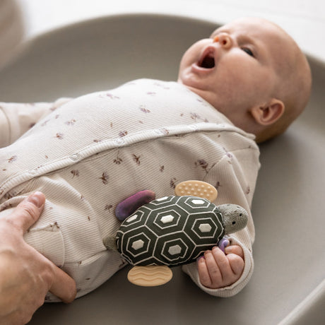 Sebra Turbo The Turtle Activity Rattle With Mirror