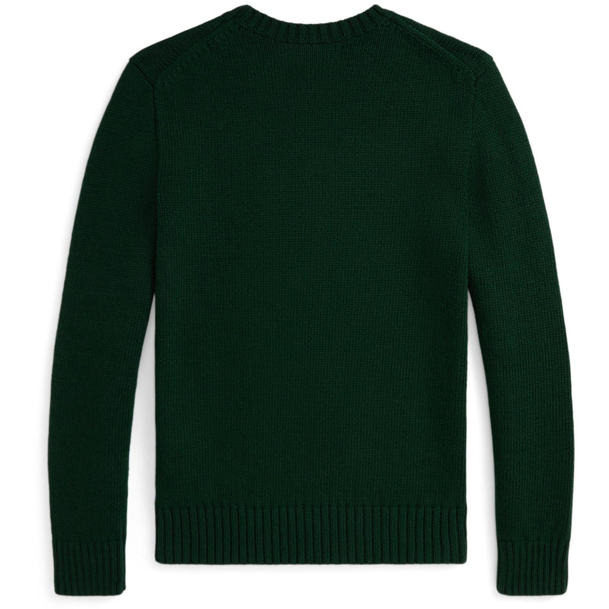 Polo Ralph Lauren Moss Agate Boy Pullover