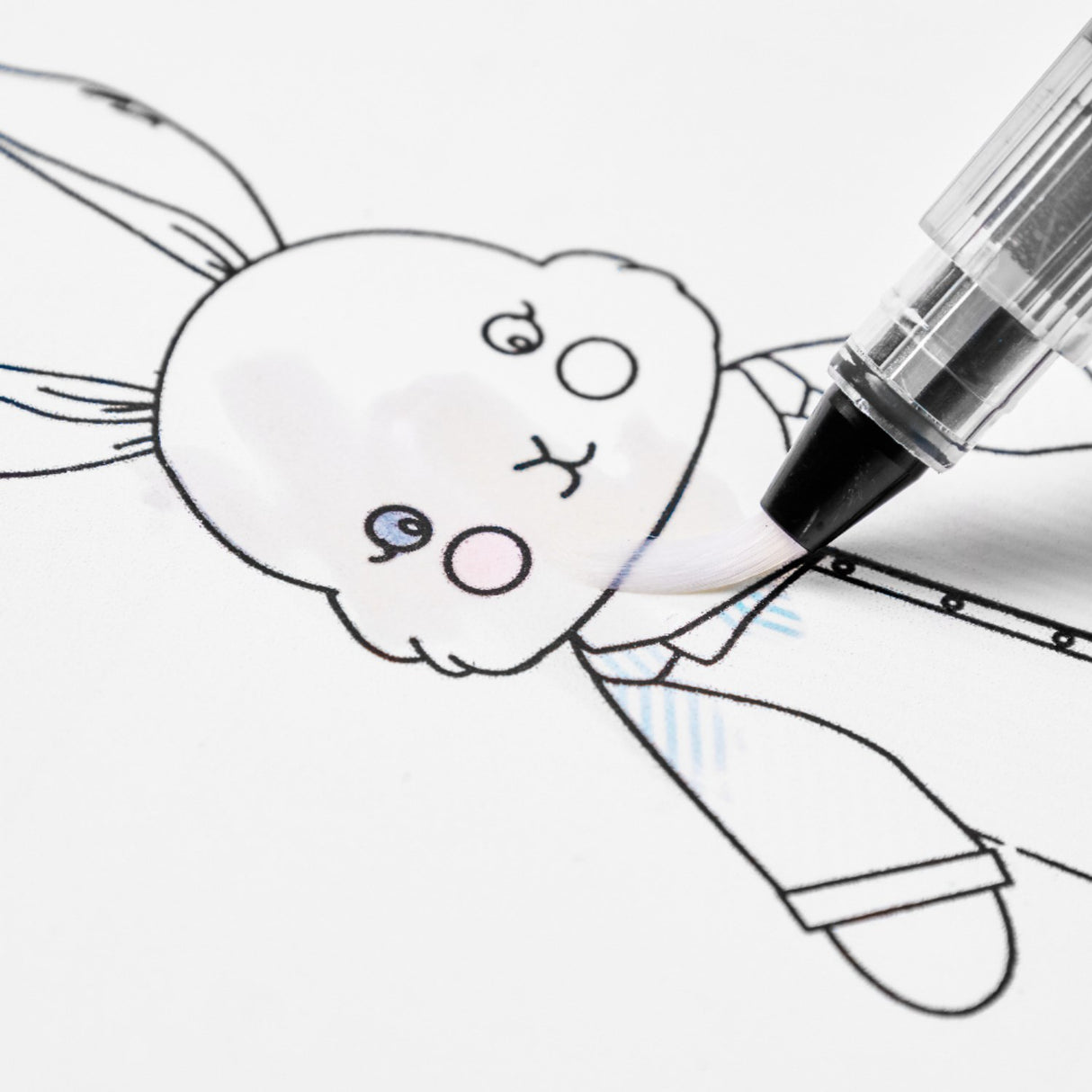 That's Mine Bunny Drew Water Colouring Book