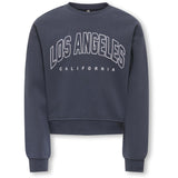 kids ONLY Ombre Blue Los Angeles - California Kogsweat Life Ls Crew Ovz Stat Swt Noos