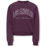 kids ONLY Mauve Wine Los Angeles - California Kogsweat Life Ls Crew Ovz Stat Swt Noos