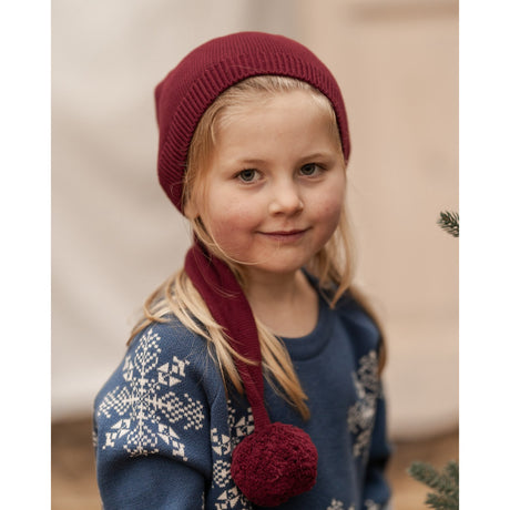 Hanevild Carbenet Christmas Hat