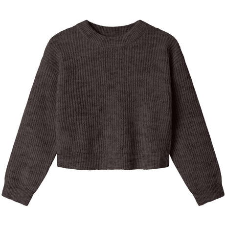 Name It Seal Brown Nkfholly Ls Boxy Short Knit Noos