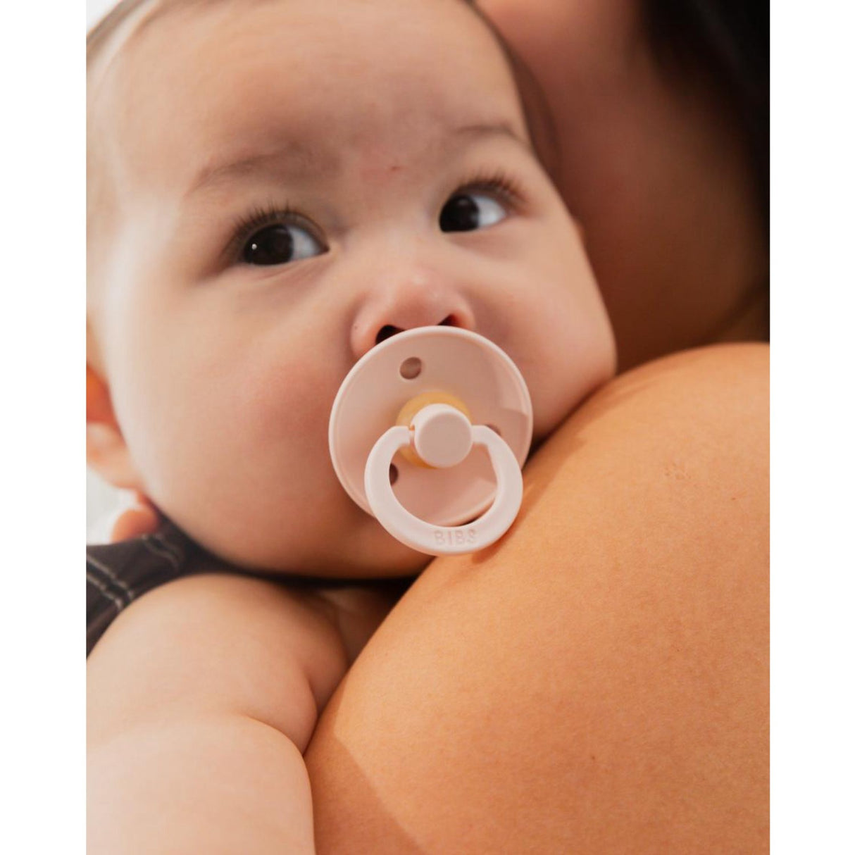 Bibs Blush Pacifier Studio Colour 2-Pack Fusion Latex Woodchuck Mix