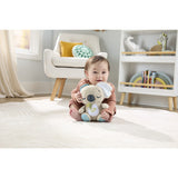 Fisher-Price® On The Go Koala