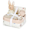 Cam Cam Copenhagen Carousel Babyshower Gift Basket