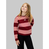 Calvin Klein Raspberry Chocolate / Apricot Cn Stripe Ls T-Shirt