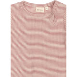 Petit Piao Nostalgic Rose/Dark Off White PPDante Body L/S Merino Wool Striped