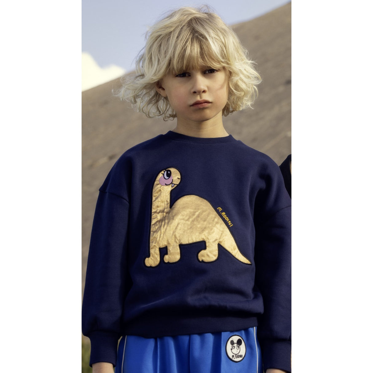 Mini Rodini Blue Dino Application Sweatshirt