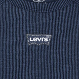 Levi's Big Dipper Color Block Raglan Top