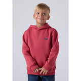 Levi's Cardinal Mini Batwing Pull Over Hoodie