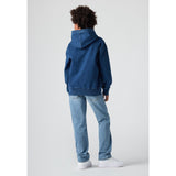 Levi's Basil Sky Without Destruction 511 Slim Non Performance Jeans