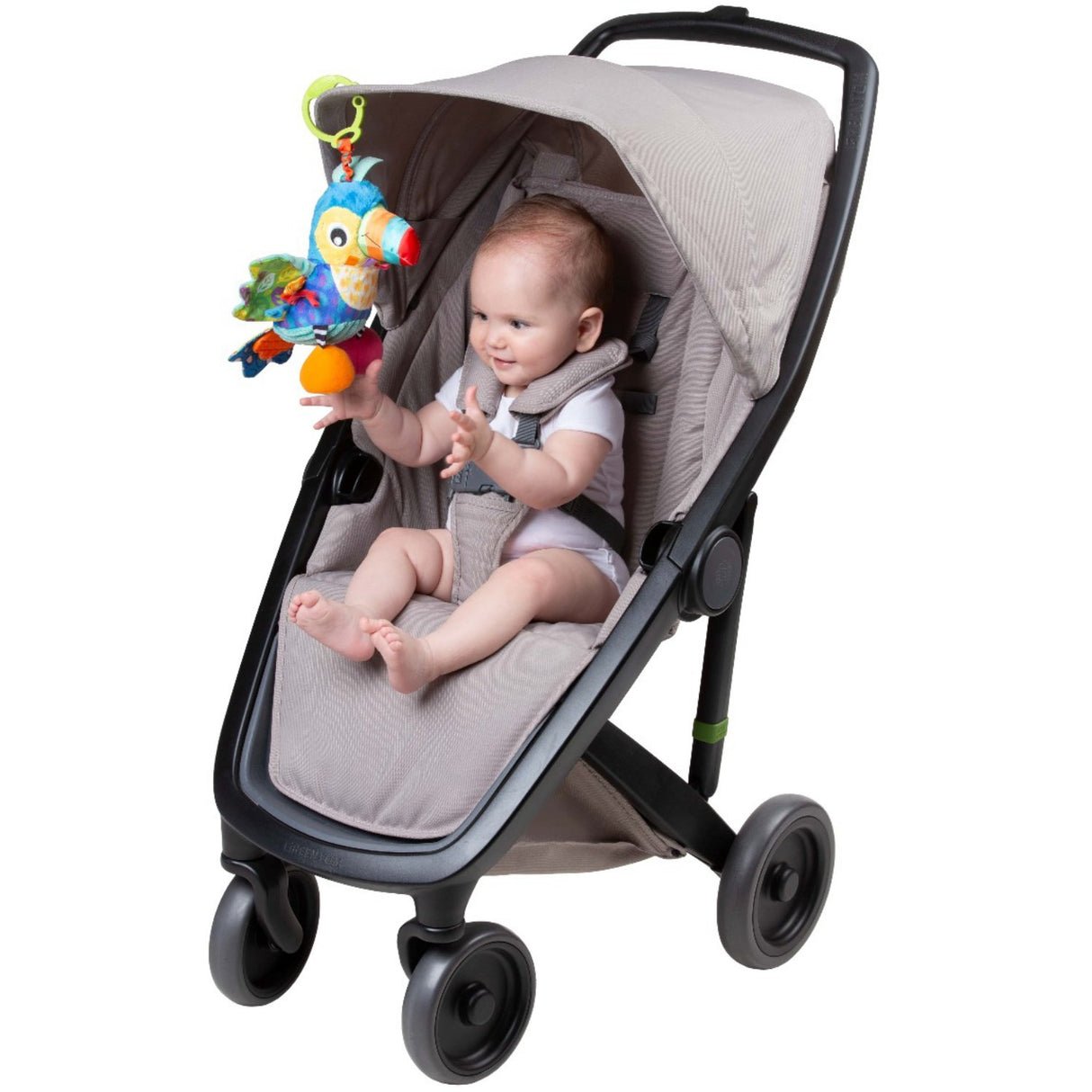 PlayGro Tamika Toucan With Clips