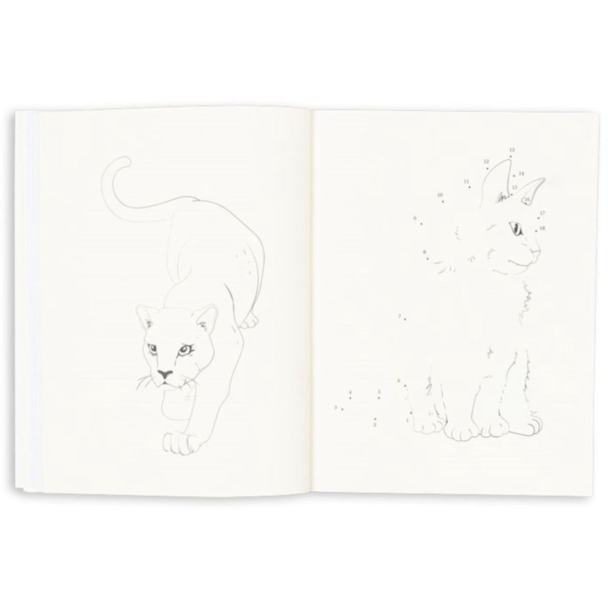 Konges Sløjd Multi Activity Book With Colouring Pencils